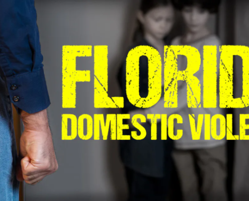 Casos de Violencia Doméstica en Florida