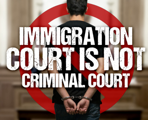 Immigration court is not criminal court