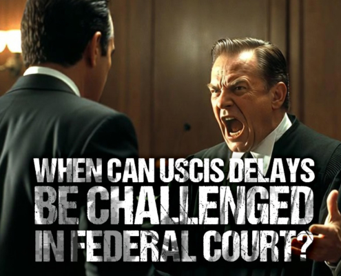 When Can USCIS Delays Be Challenged in Federal Court?